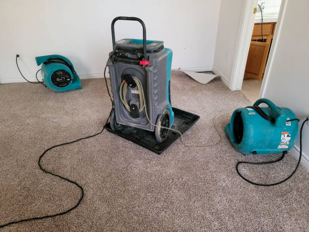 Best Flood damage cleanup  in Egypt, PA