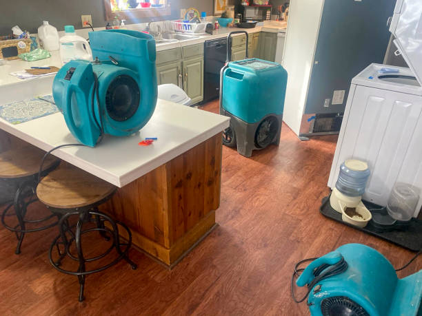 Best Water damage cleanup near me  in Egypt, PA