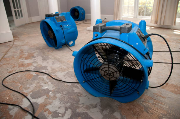 Best Flood restoration services  in Egypt, PA