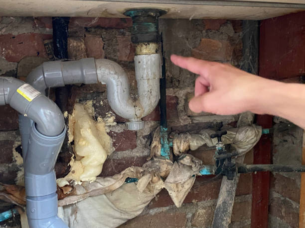 Best Mold removal after water damage  in Egypt, PA